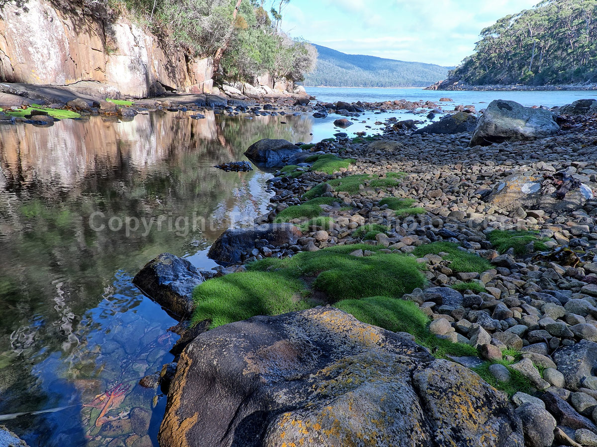 Bivouac Bay, Tasman National Park, Tasmania. (martin chambers: tasmanianphotos.com) (16/04/21) : Bivouac-Bay-Tasmania_20210416-151324