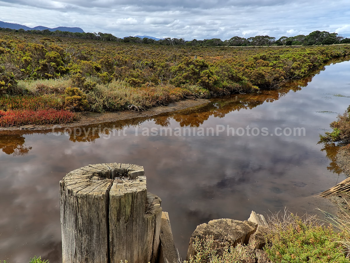 Looking over the Wetlands at  Boomer Bay, Tasmania.  (martin chambers: tasmanianphotos.com) (08/03/20) : Boomer-Bay-Wetlands-Tasmania_20200308-194910