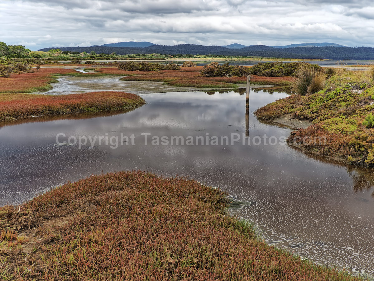 Looking over the Wetlands at  Boomer Bay, Tasmania.  (martin chambers: tasmanianphotos.com) (08/03/20) : Boomer-Bay-Wetlands-Tasmania_20200308-194914