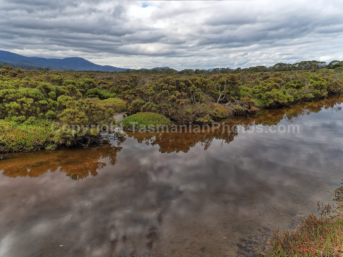 Looking over the Wetlands at  Boomer Bay, Tasmania.  (martin chambers: tasmanianphotos.com) (08/03/20) : Boomer-Bay-Wetlands-Tasmania_20200308-194923