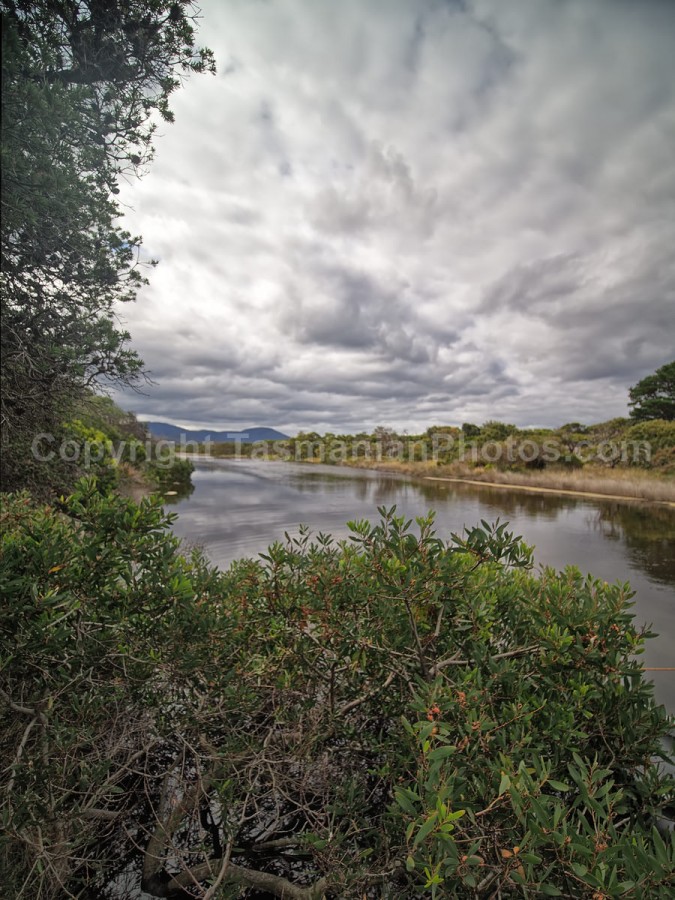Looking over the Wetlands at  Bream Creek, Tasmania.  (martin chambers: tasmanianphotos.com) (08/03/20) : Bream-Creek-Wetlands-Tasmania_20200308-194644
