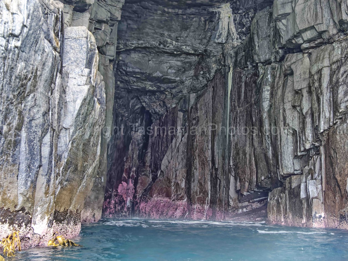 Sea Caves (Cape Pillar) in the Tasman National Park, Tasmania. (martin chambers: tasmanianphotos.com) (05/03/22) : Cape-Pillar-Tasmania_20220305-133113