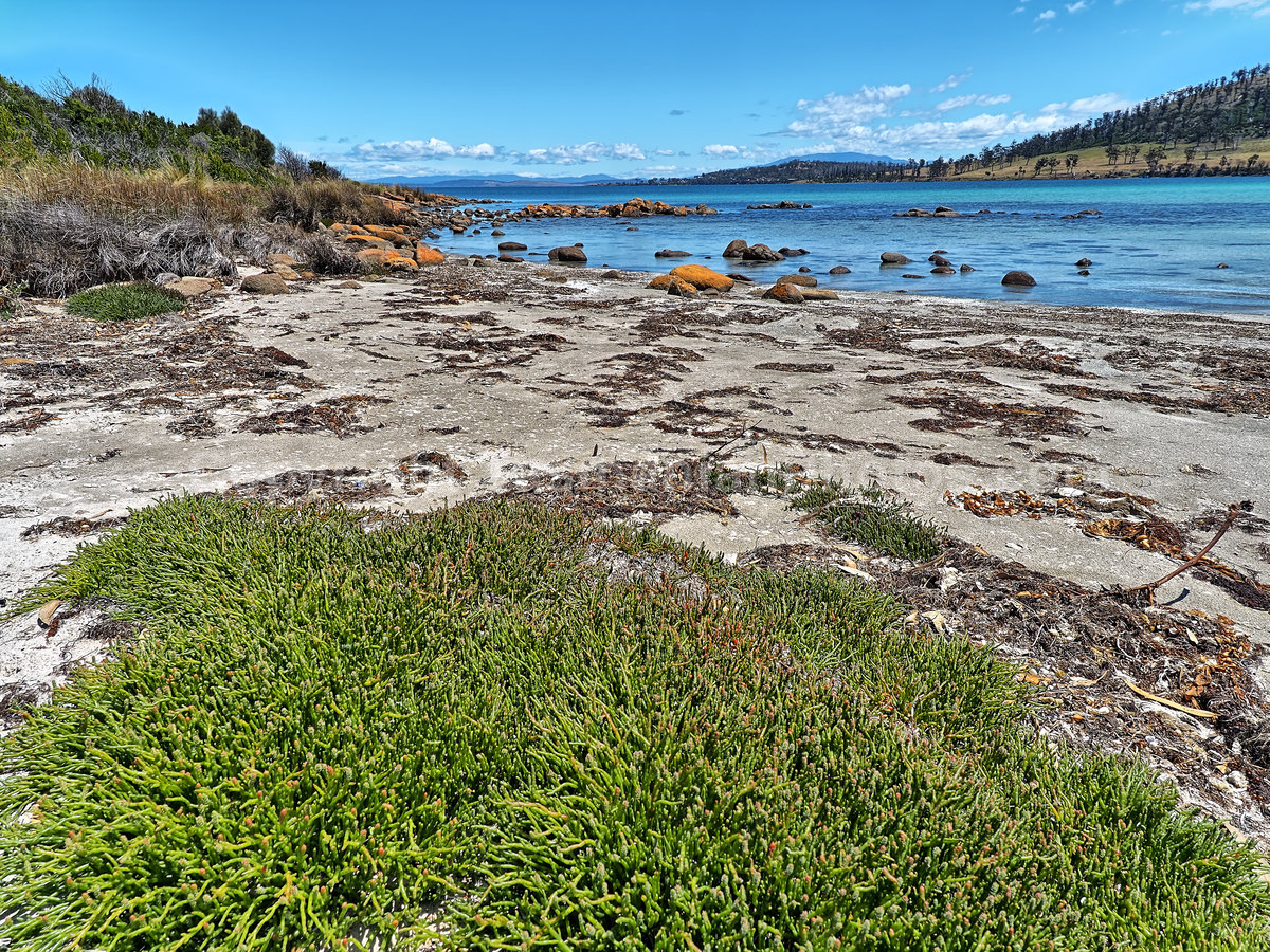 View from the beach at Connelly's Marsh, Tasmania.  (martin chambers: tasmanianphotos.com) (17/12/19) : Connellys-Marsh-Tasmania_20191217-203314