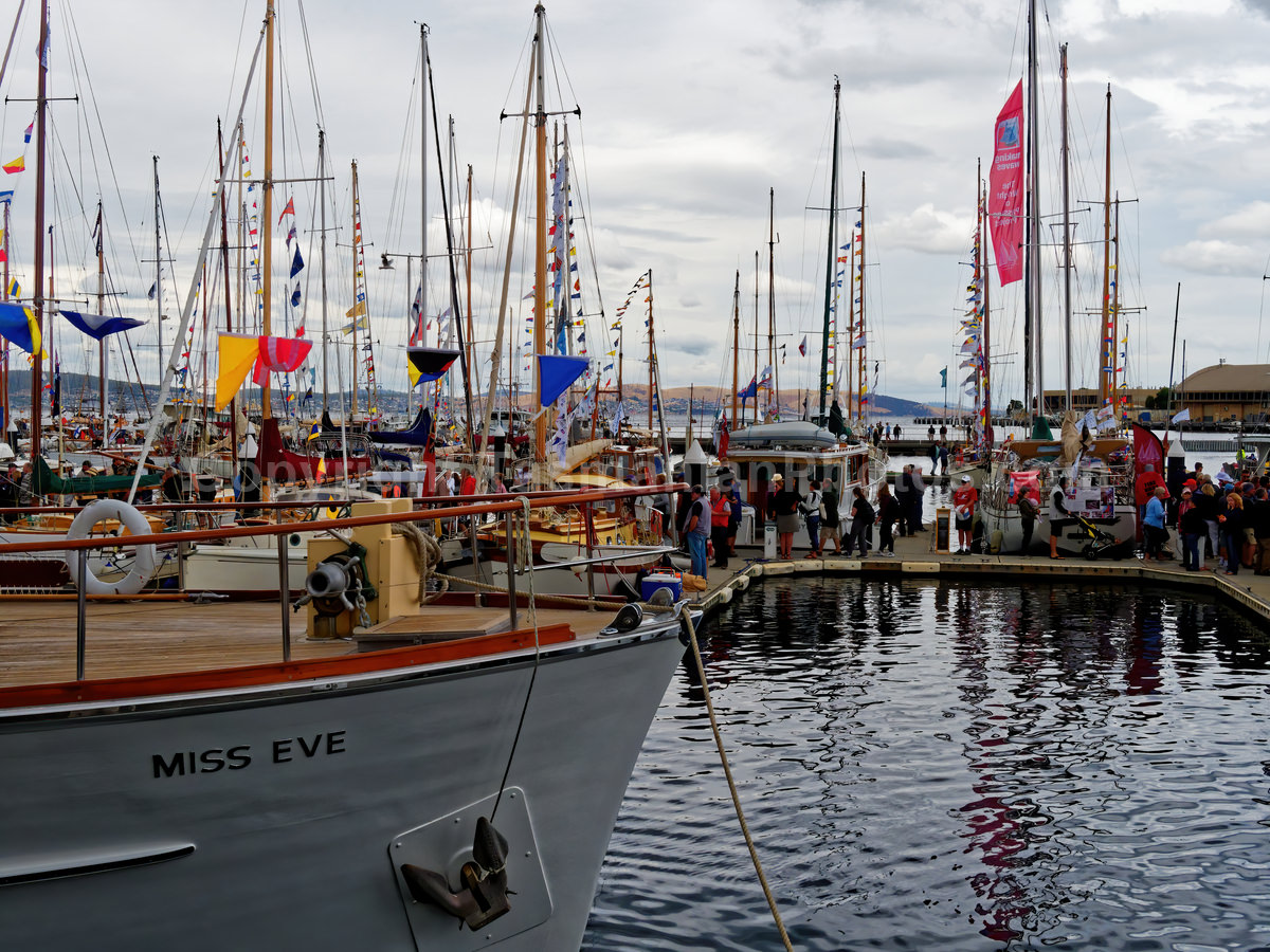 Constitution Dock and the Wooden Boat Festival.  (martin chambers: tasmanianphotos.com) (09/02/19) : Constitution-Dock-Hobart-Tasmania_20190209-205402