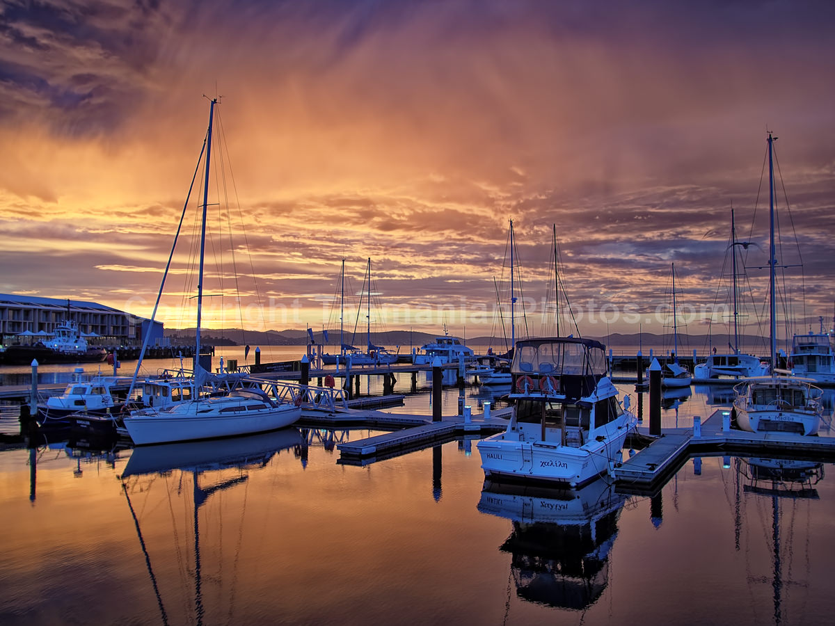 Constitution Dock at Sunrise. Hobart, Tasmania.  (martin chambers: tasmanianphotos.com) (29/03/20) : Constitution-Dock-Hobart-Tasmania_20200329-122517