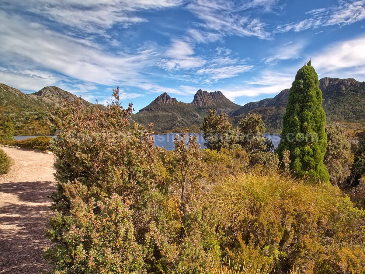 View of Cradle Mountain from Dove Lake. Cradle Mountain Lake St Clair National Park. (martin chambers: tasmanianphotos.com) (21/02/21) : Cradle-Mountain-Lake-St-Clair-National-Park-Tasmania_20210221-174252
