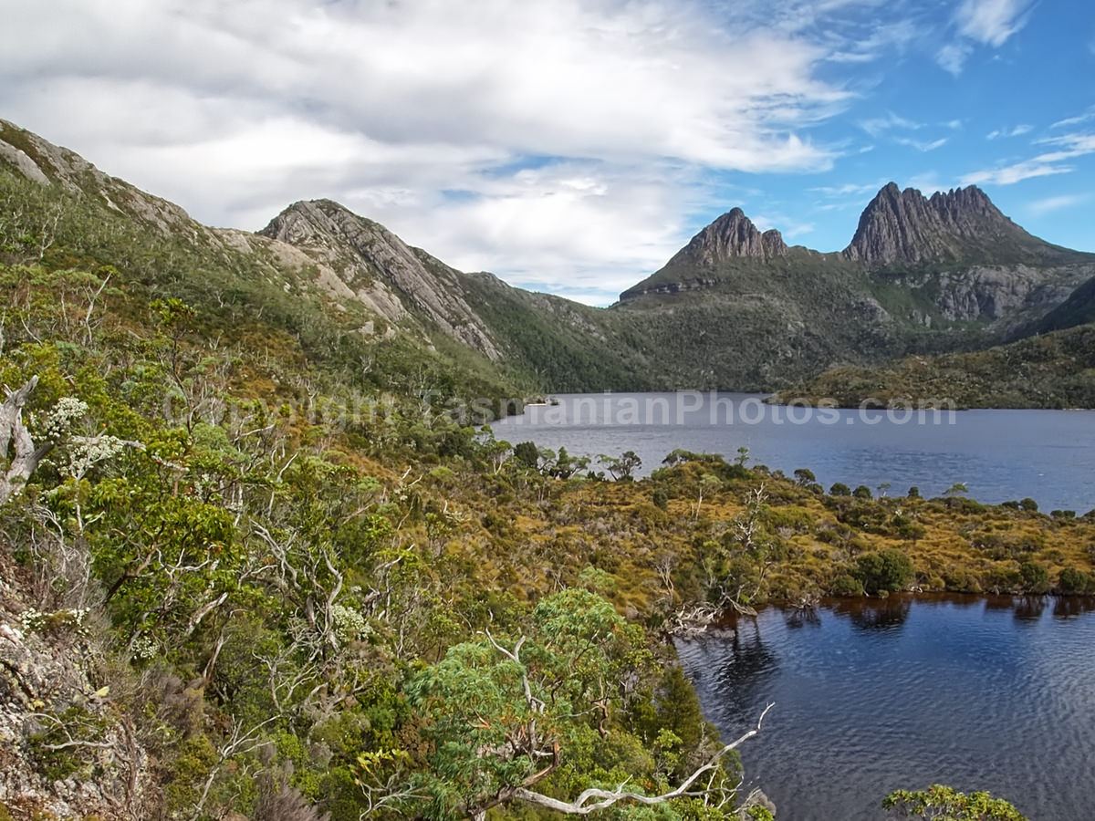 View of Cradle Mountain from Dove Lake. Cradle Mountain Lake St Clair National Park. (martin chambers: tasmanianphotos.com) (21/02/21) : Cradle-Mountain-Lake-St-Clair-National-Park-Tasmania_20210221-174314