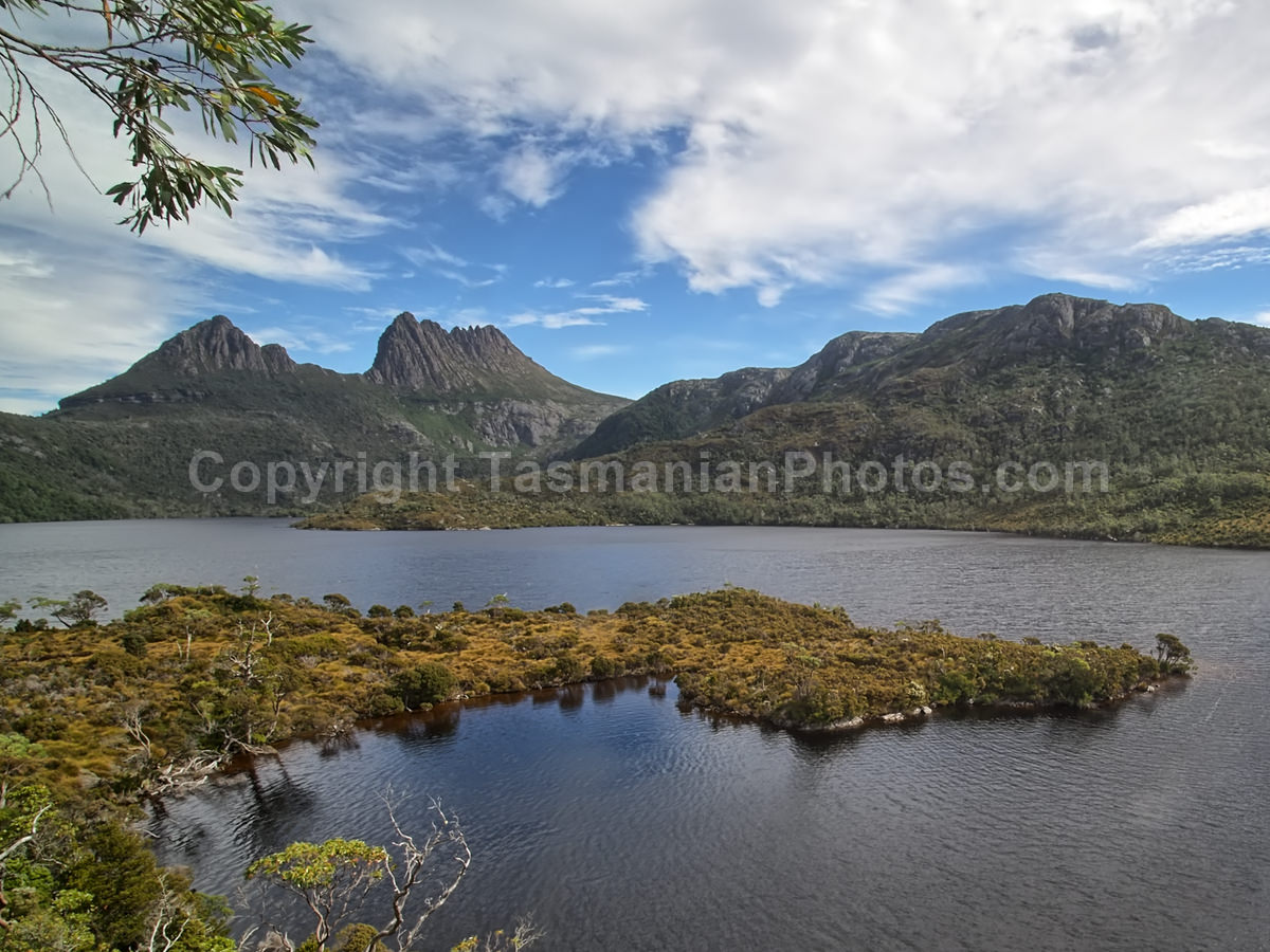 View of Cradle Mountain from Dove Lake. Cradle Mountain Lake St Clair National Park. (martin chambers: tasmanianphotos.com) (21/02/21) : Cradle-Mountain-Lake-St-Clair-National-Park-Tasmania_20210221-174317