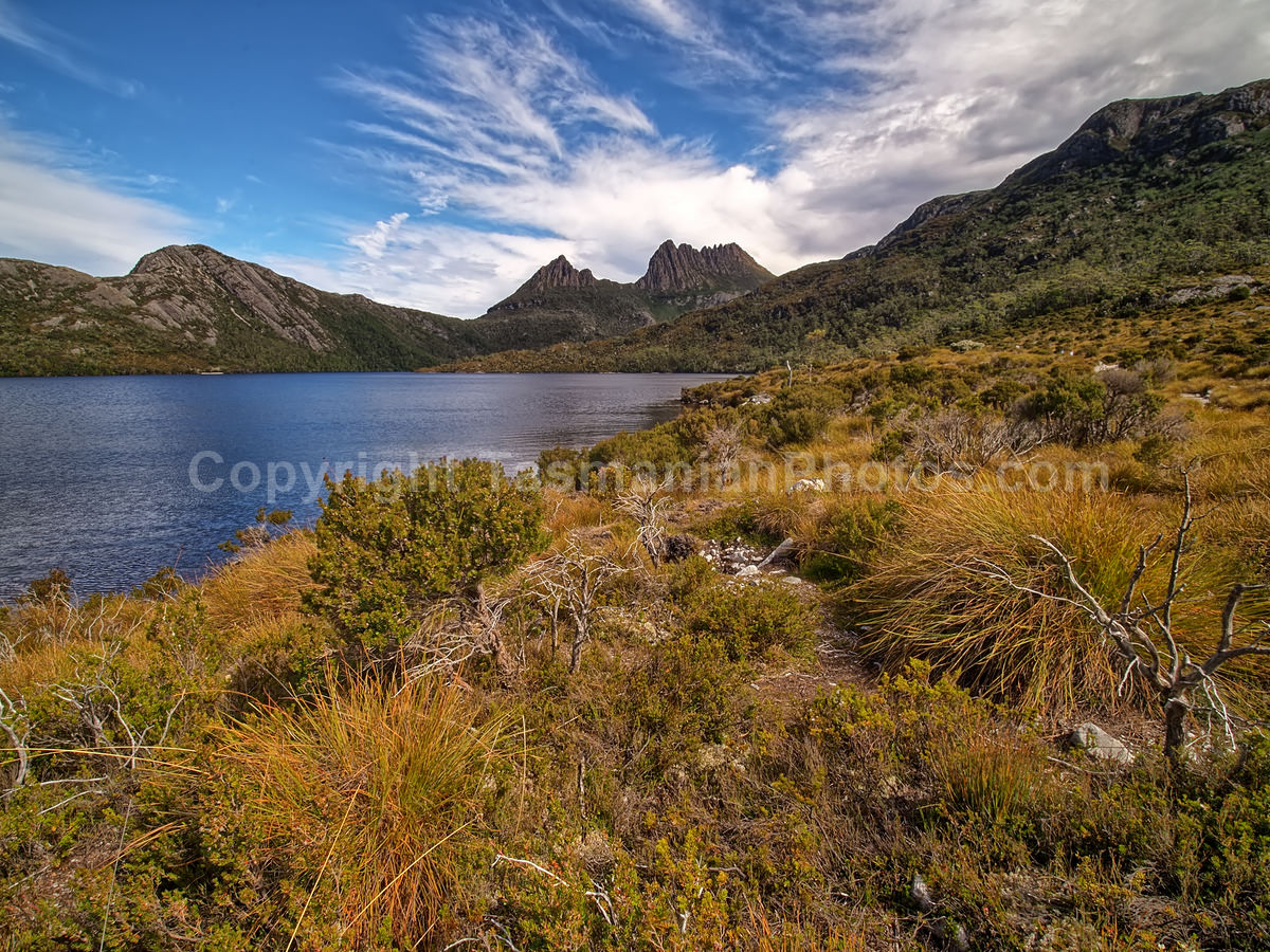 View of Cradle Mountain from Dove Lake. Cradle Mountain Lake St Clair National Park. (martin chambers: tasmanianphotos.com) (21/02/21) : Cradle-Mountain-Lake-St-Clair-National-Park-Tasmania_20210221-174336