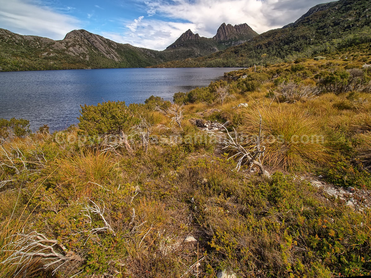 View of Cradle Mountain from Dove Lake. Cradle Mountain Lake St Clair National Park. (martin chambers: tasmanianphotos.com) (21/02/21) : Cradle-Mountain-Lake-St-Clair-National-Park-Tasmania_20210221-174340