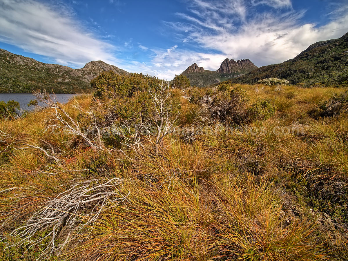 View of Cradle Mountain from Dove Lake. Cradle Mountain Lake St Clair National Park. (martin chambers: tasmanianphotos.com) (21/02/21) : Cradle-Mountain-Lake-St-Clair-National-Park-Tasmania_20210221-174343
