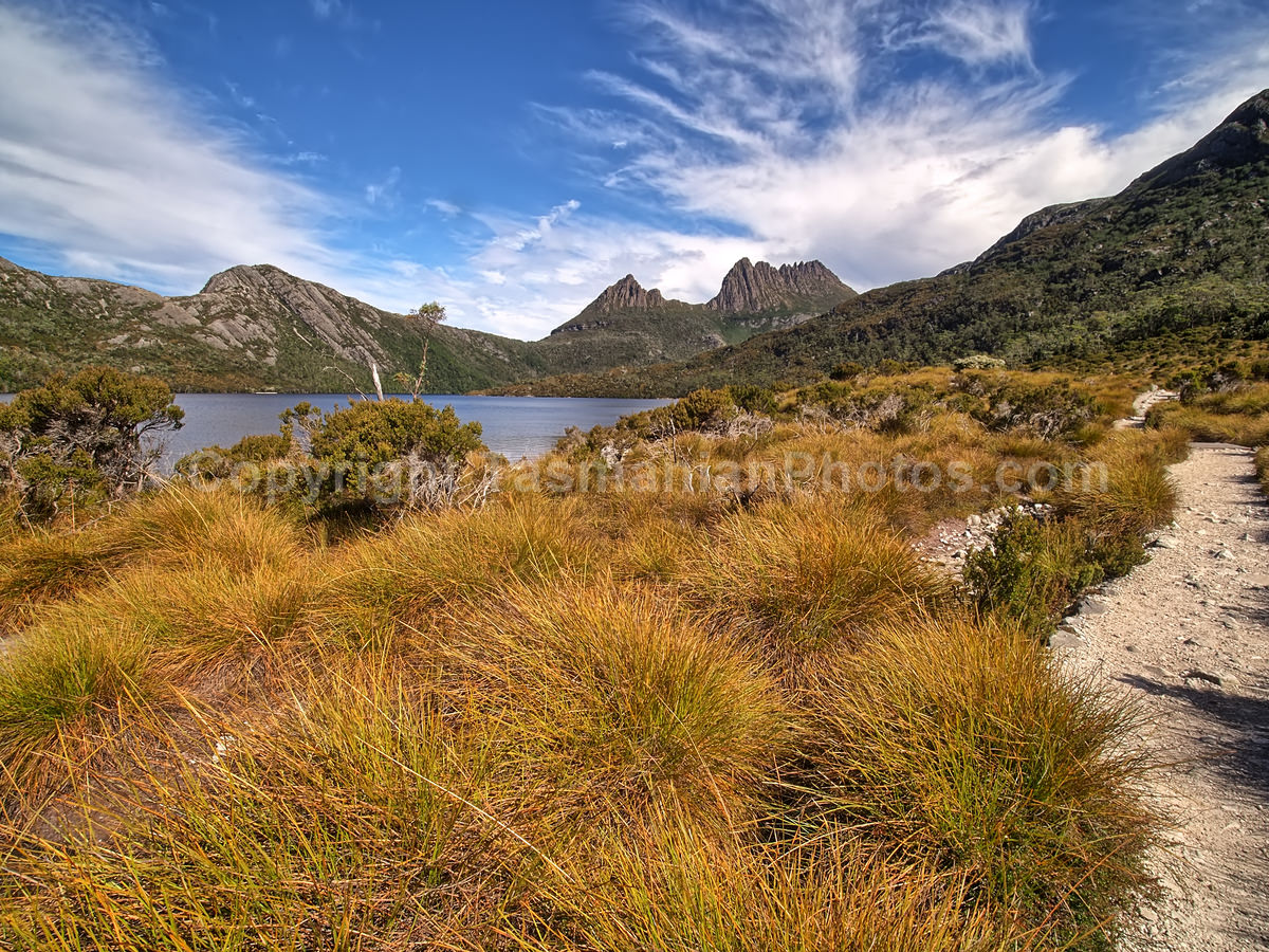 View of Cradle Mountain from Dove Lake. Cradle Mountain Lake St Clair National Park. (martin chambers: tasmanianphotos.com) (21/02/21) : Cradle-Mountain-Lake-St-Clair-National-Park-Tasmania_20210221-174346
