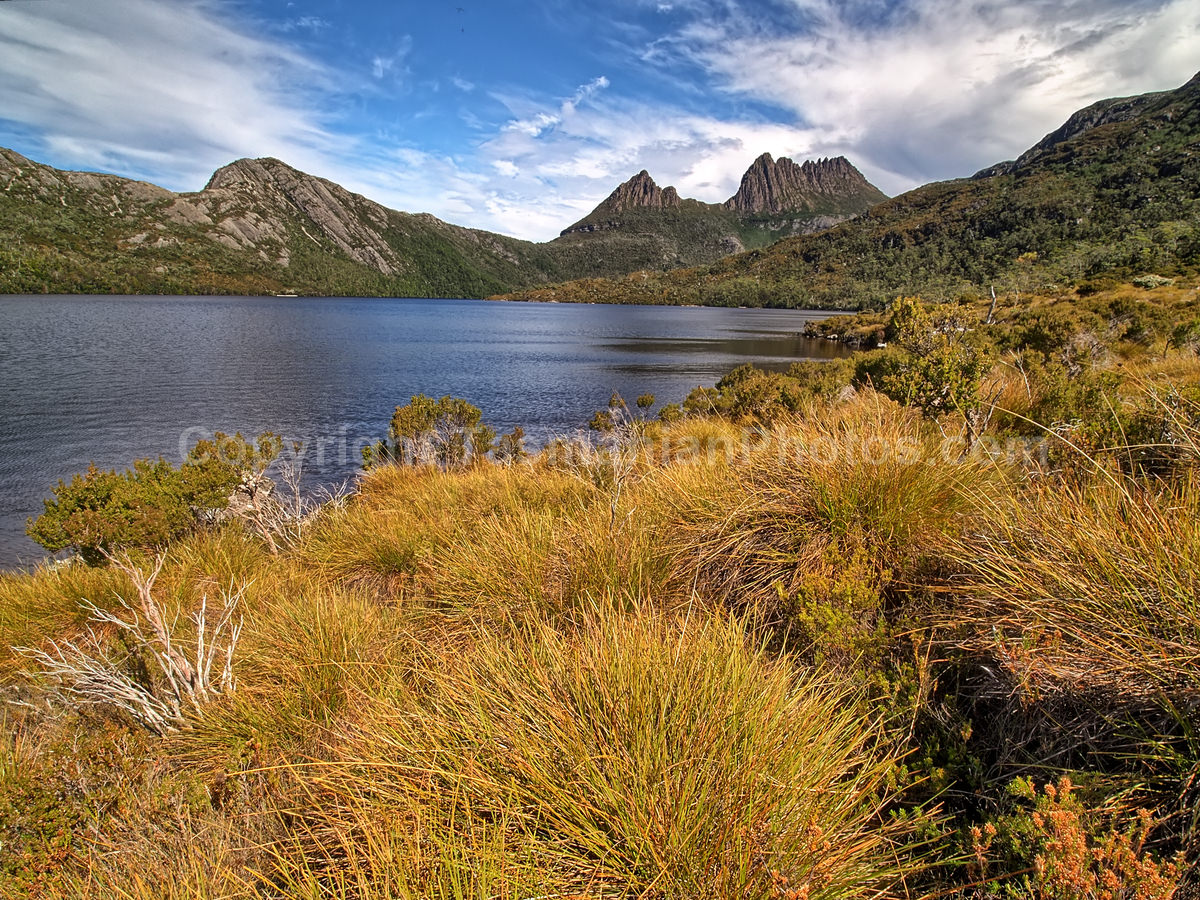View of Cradle Mountain from Dove Lake. Cradle Mountain Lake St Clair National Park. (martin chambers: tasmanianphotos.com) (21/02/21) : Cradle-Mountain-Lake-St-Clair-National-Park-Tasmania_20210221-174350
