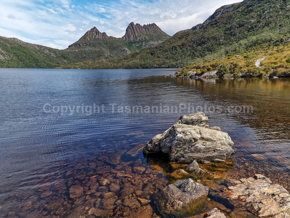 View of Cradle Mountain from Dove Lake. Cradle Mountain Lake St Clair National Park. (martin chambers: tasmanianphotos.com) (21/02/21) : Cradle-Mountain-Lake-St-Clair-National-Park-Tasmania_20210221-174412