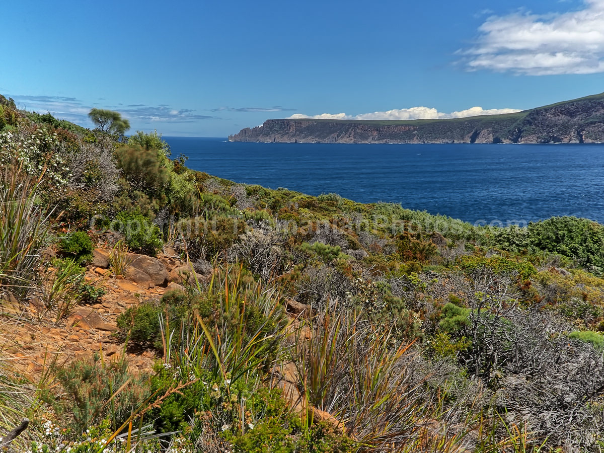 Crescent Bay Lookout Tasman National Park in Tasmania. (martin chambers: tasmanianphotos.com) (05/01/21) : Crescent-Bay-Lookout-Tasmania_20210105-073608