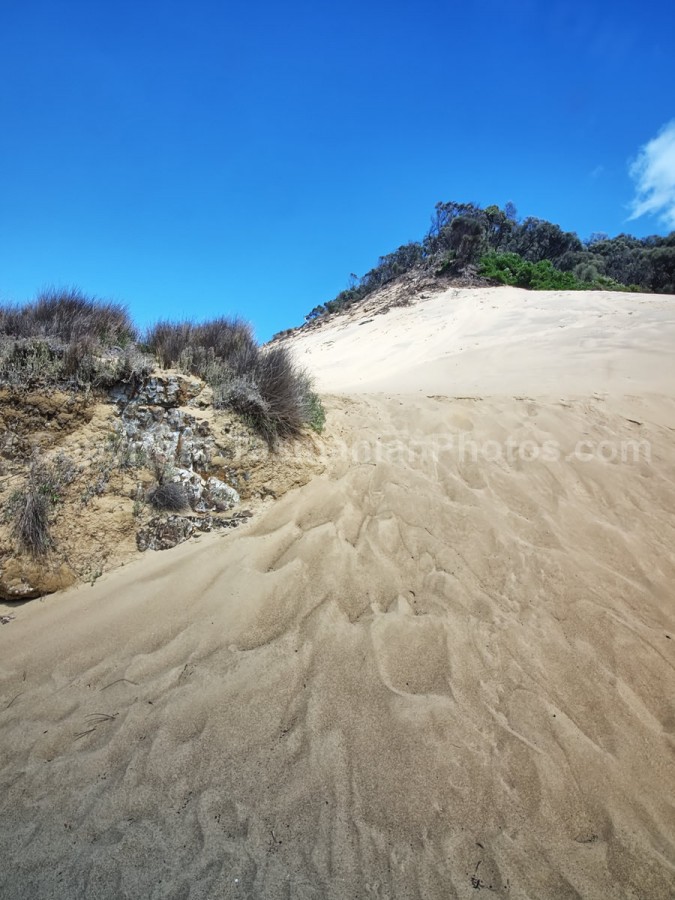 Sand dunes at Crescent Bay. Tasman National Park in Tasmania. (martin chambers: tasmanianphotos.com) (05/01/21) : Crescent-Bay-Sand-Dunes-Tasmania_20210105-073703