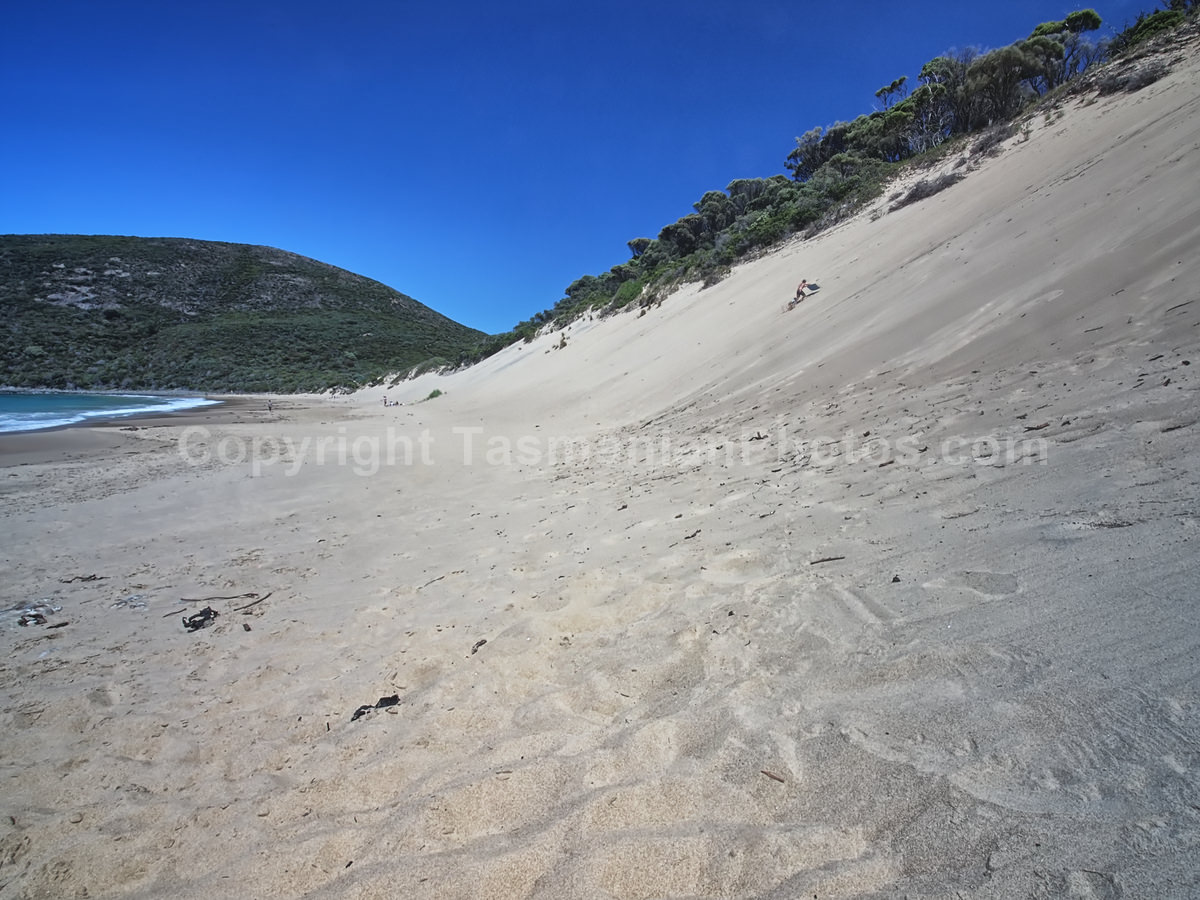 Sand dunes at Crescent Bay. Tasman National Park in Tasmania. (martin chambers: tasmanianphotos.com) (05/01/21) : Crescent-Bay-Sand-Dunes-Tasmania_20210105-073756