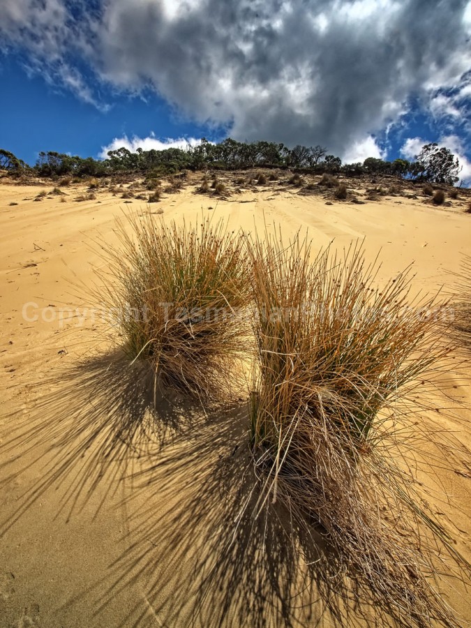 Sand dunes at Crescent Bay. Tasman National Park in Tasmania. (martin chambers: tasmanianphotos.com) (05/01/21) : Crescent-Bay-Sand-Dunes-Tasmania_20210105-073806