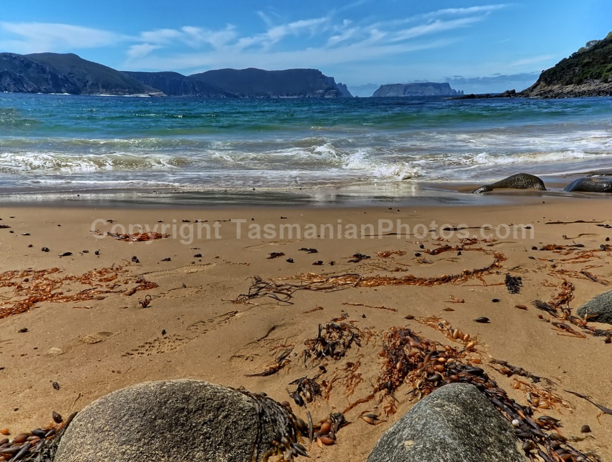 View to Tasman Island from Crescent Bay. Tasman National Park in Tasmania. (martin chambers: tasmanianphotos.com) (05/01/21) : Crescent-Bay-Tasman-Island-Tasmania_20210105-073621
