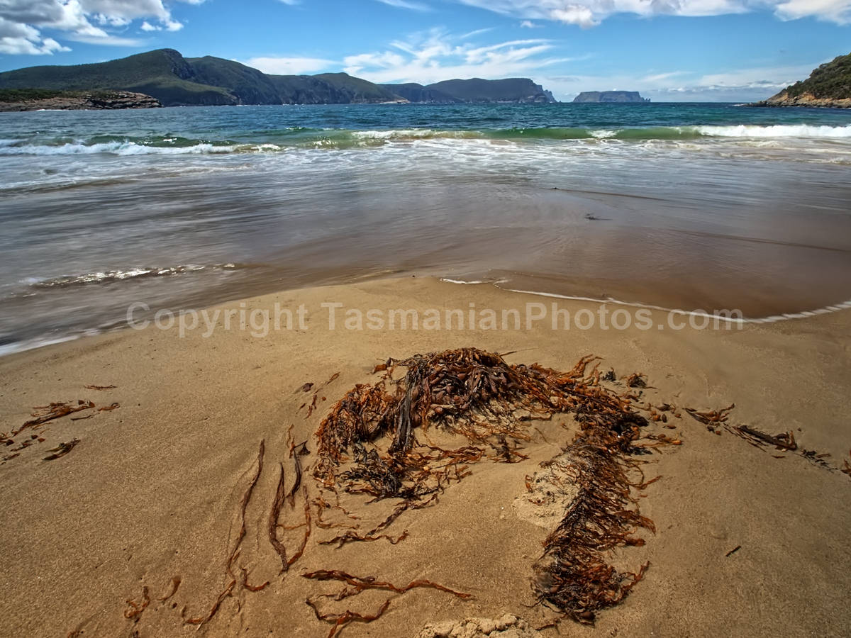 Crescent Bay. Tasman National Park in Tasmania. (martin chambers: tasmanianphotos.com) (05/01/21) : Crescent-Bay-Tasmania_20210105-073822