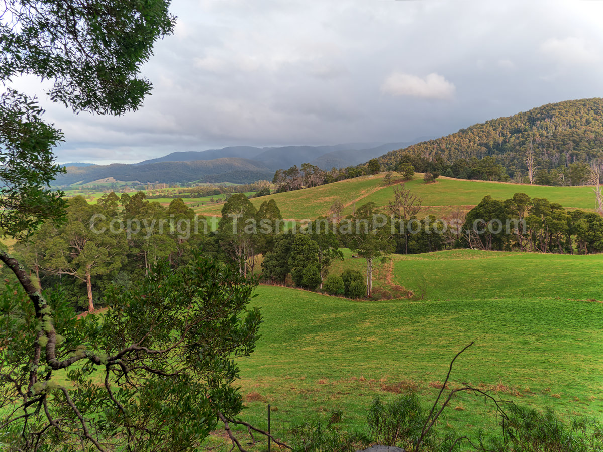 Rolling hills near Derby, Tasmania. (martin chambers: tasmanianphotos.com) (13/07/21) : Derby-Tasmania_20210713-145326