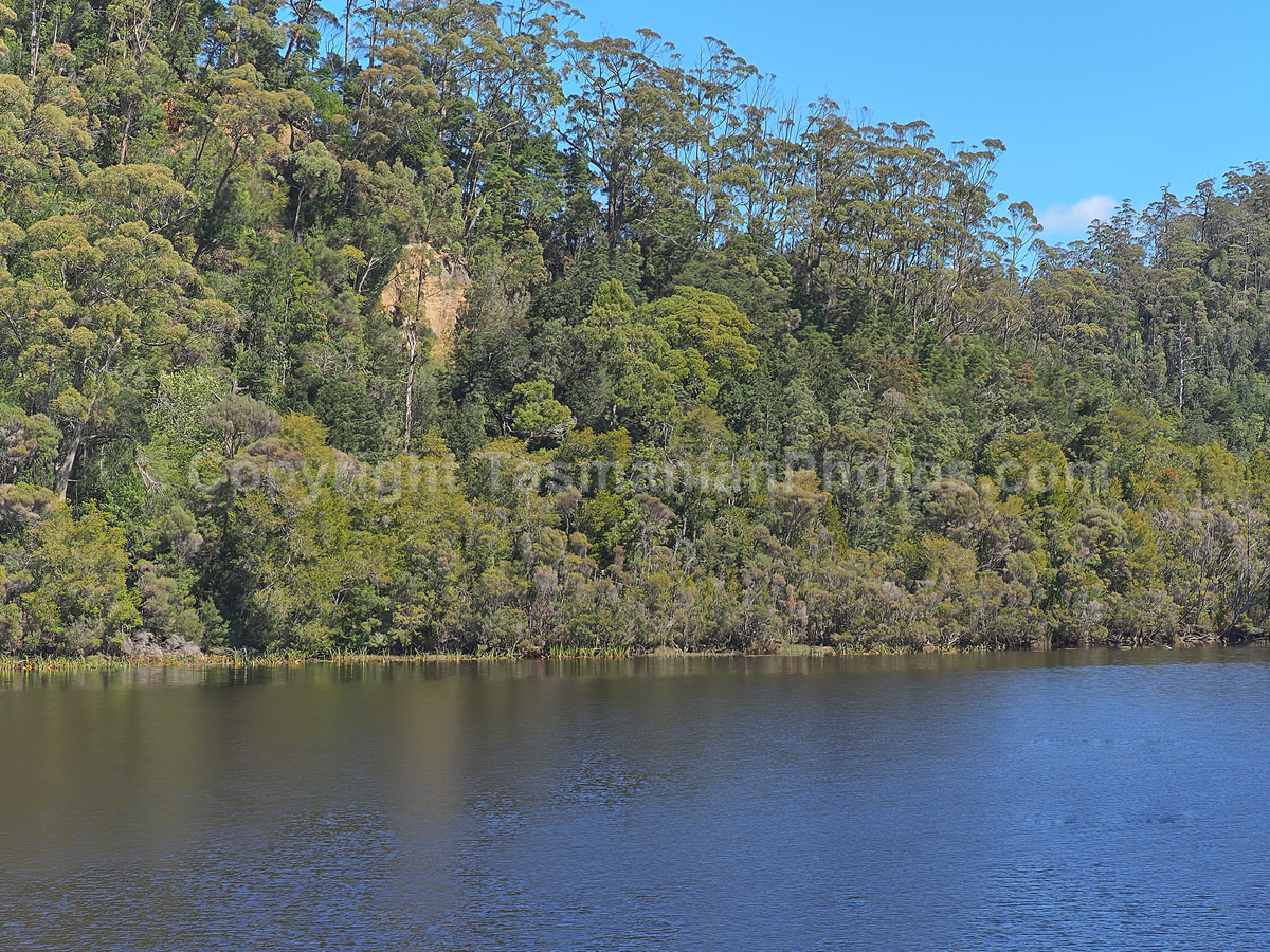 Gordon River and Maquarie Harbour.  Strahan. West Coast Tasmania. (martin chambers: tasmanianphotos.com) (07/10/20) : Gordon-River-Tasmania_20201007-213709