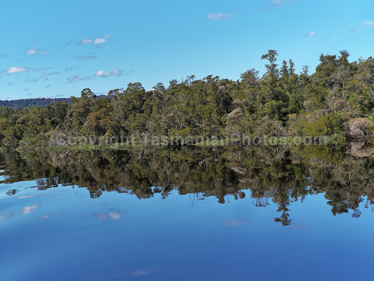 Gordon River and Maquarie Harbour.  Strahan. West Coast Tasmania. (martin chambers: tasmanianphotos.com) (07/10/20) : Gordon-River-Tasmania_20201007-213727