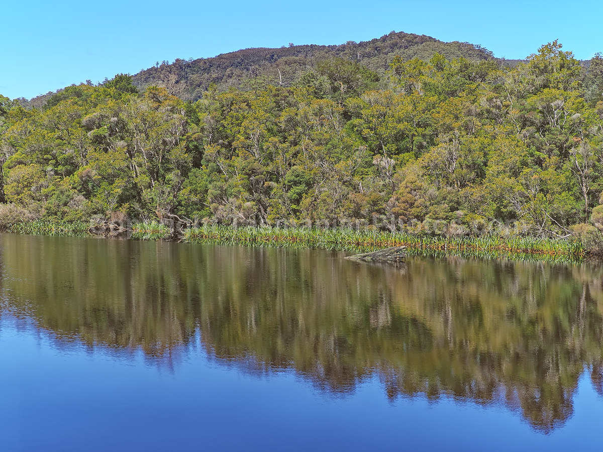 Gordon River and Maquarie Harbour.  Strahan. West Coast Tasmania. (martin chambers: tasmanianphotos.com) (07/10/20) : Gordon-River-Tasmania_20201007-213746