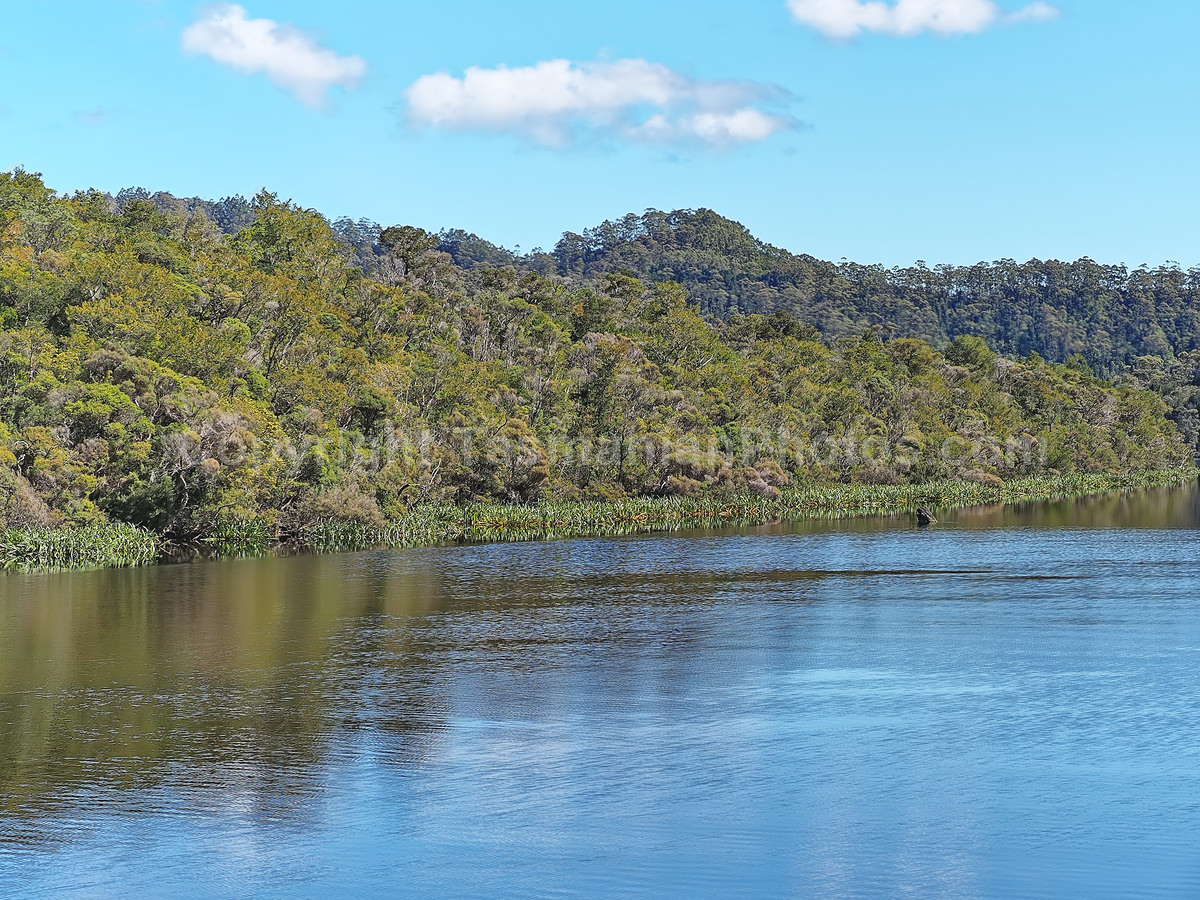 Gordon River and Maquarie Harbour.  Strahan. West Coast Tasmania. (martin chambers: tasmanianphotos.com) (07/10/20) : Gordon-River-Tasmania_20201007-213754