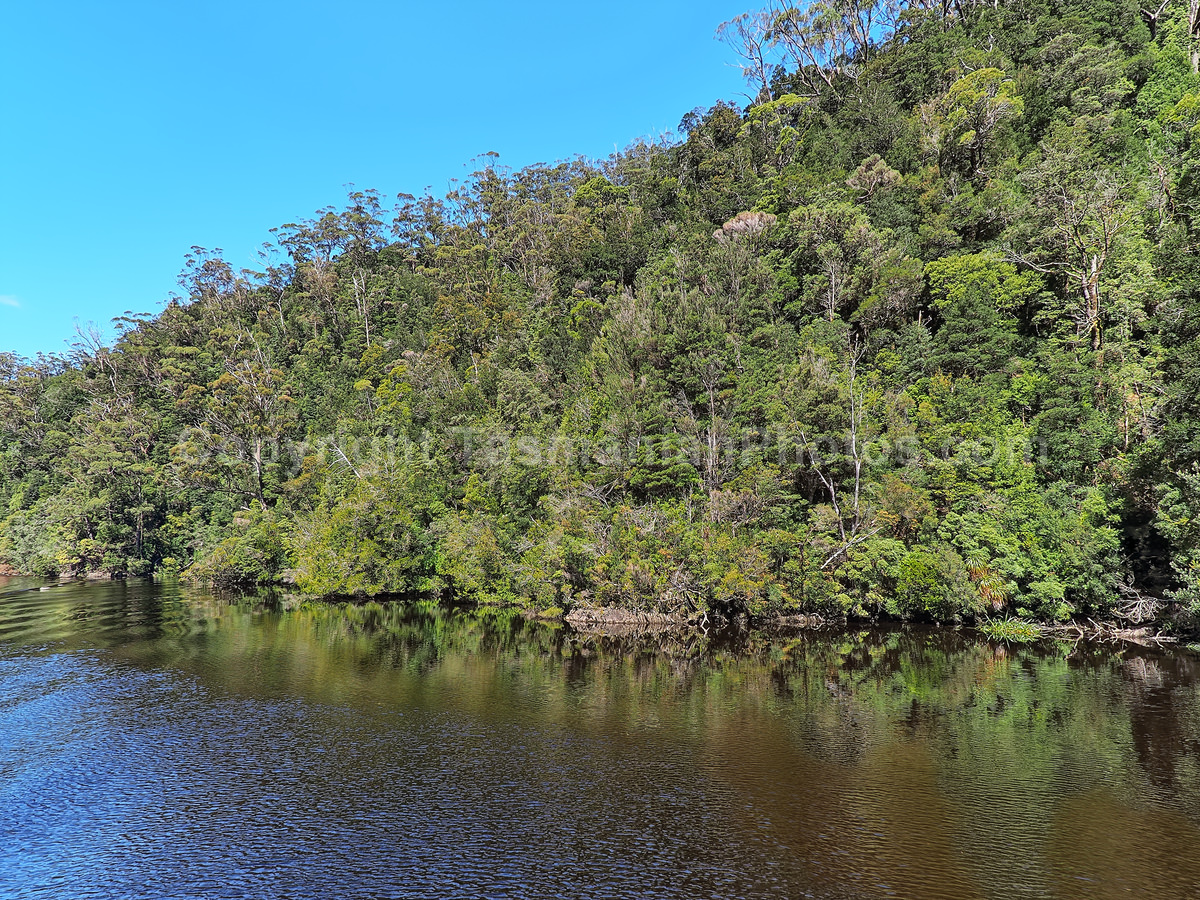 Gordon River and Maquarie Harbour.  Strahan. West Coast Tasmania. (martin chambers: tasmanianphotos.com) (07/10/20) : Gordon-River-Tasmania_20201007-213826