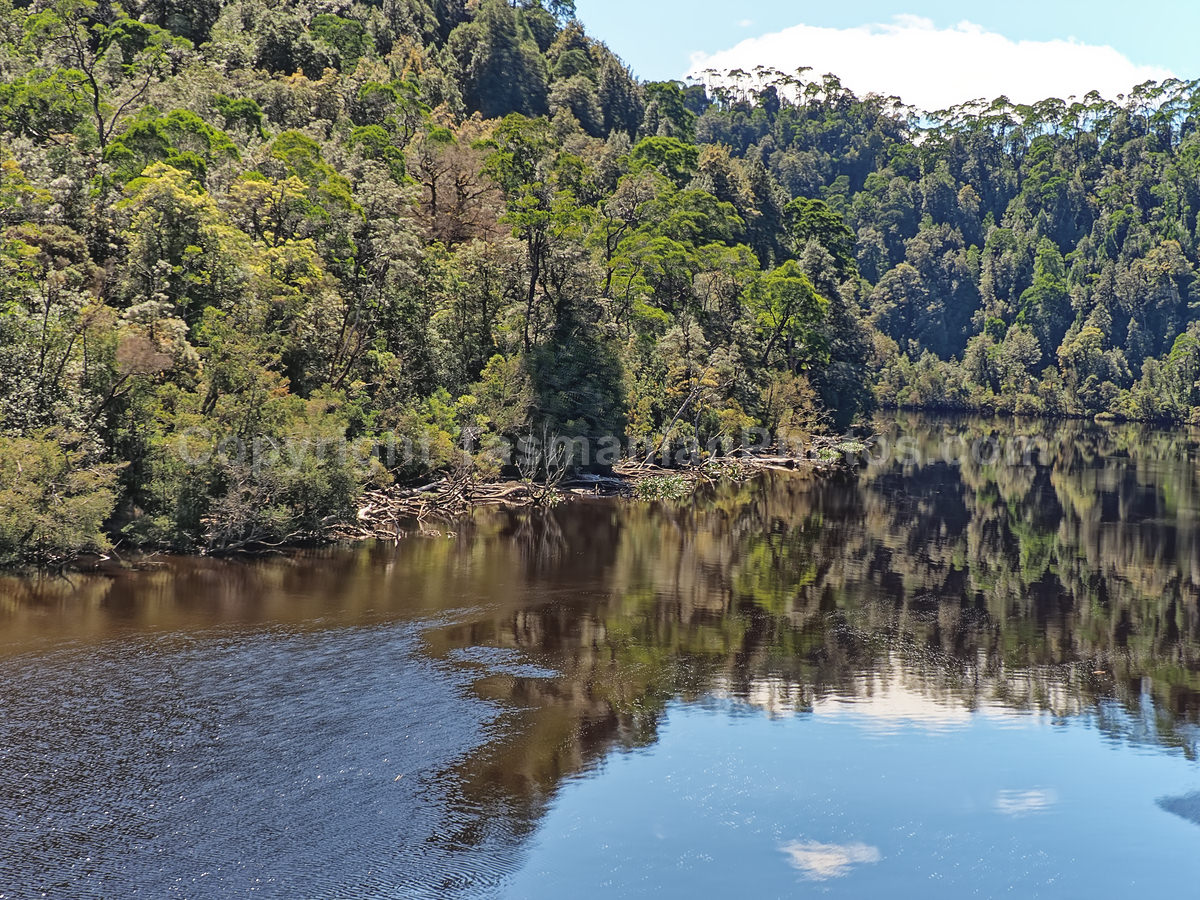 Gordon River and Maquarie Harbour.  Strahan. West Coast Tasmania. (martin chambers: tasmanianphotos.com) (07/10/20) : Gordon-River-Tasmania_20201007-214307