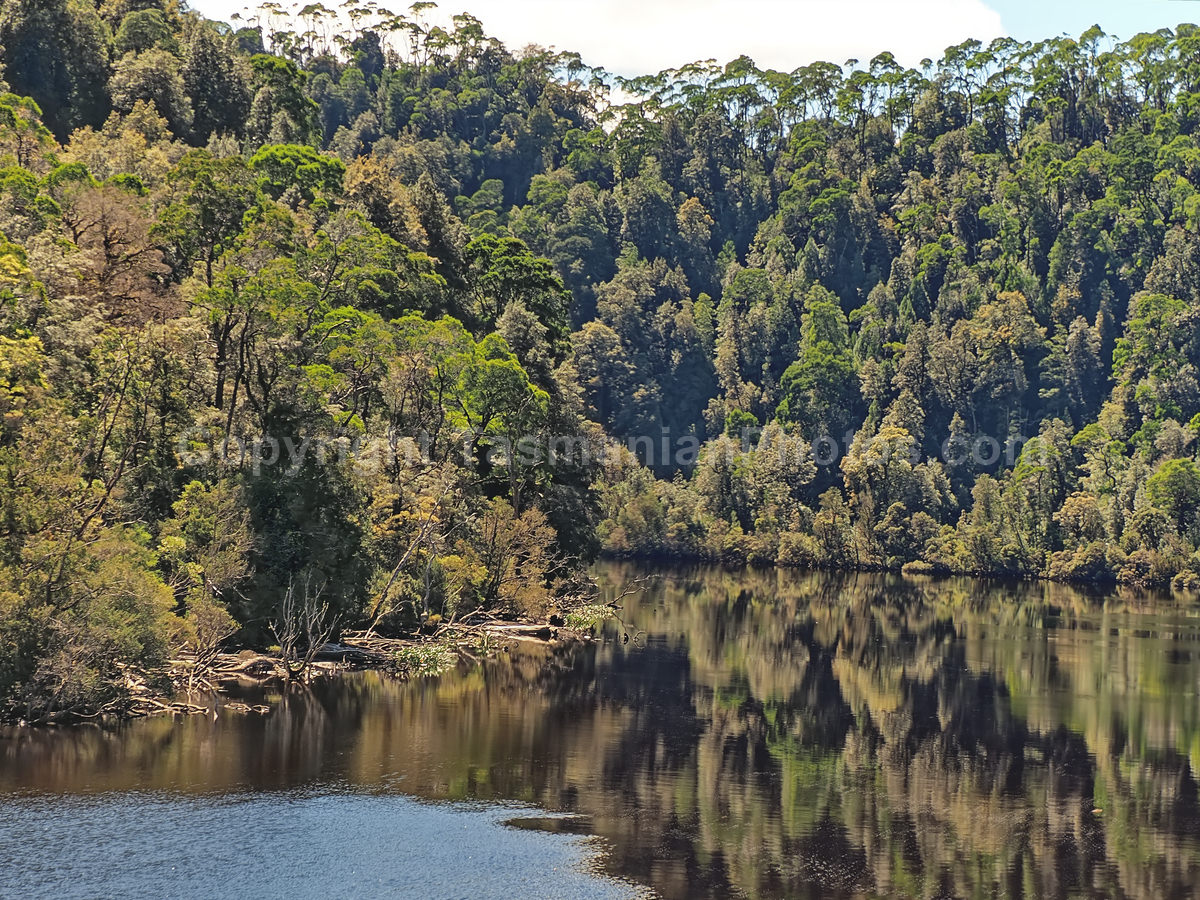 Gordon River and Maquarie Harbour.  Strahan. West Coast Tasmania. (martin chambers: tasmanianphotos.com) (07/10/20) : Gordon-River-Tasmania_20201007-214317