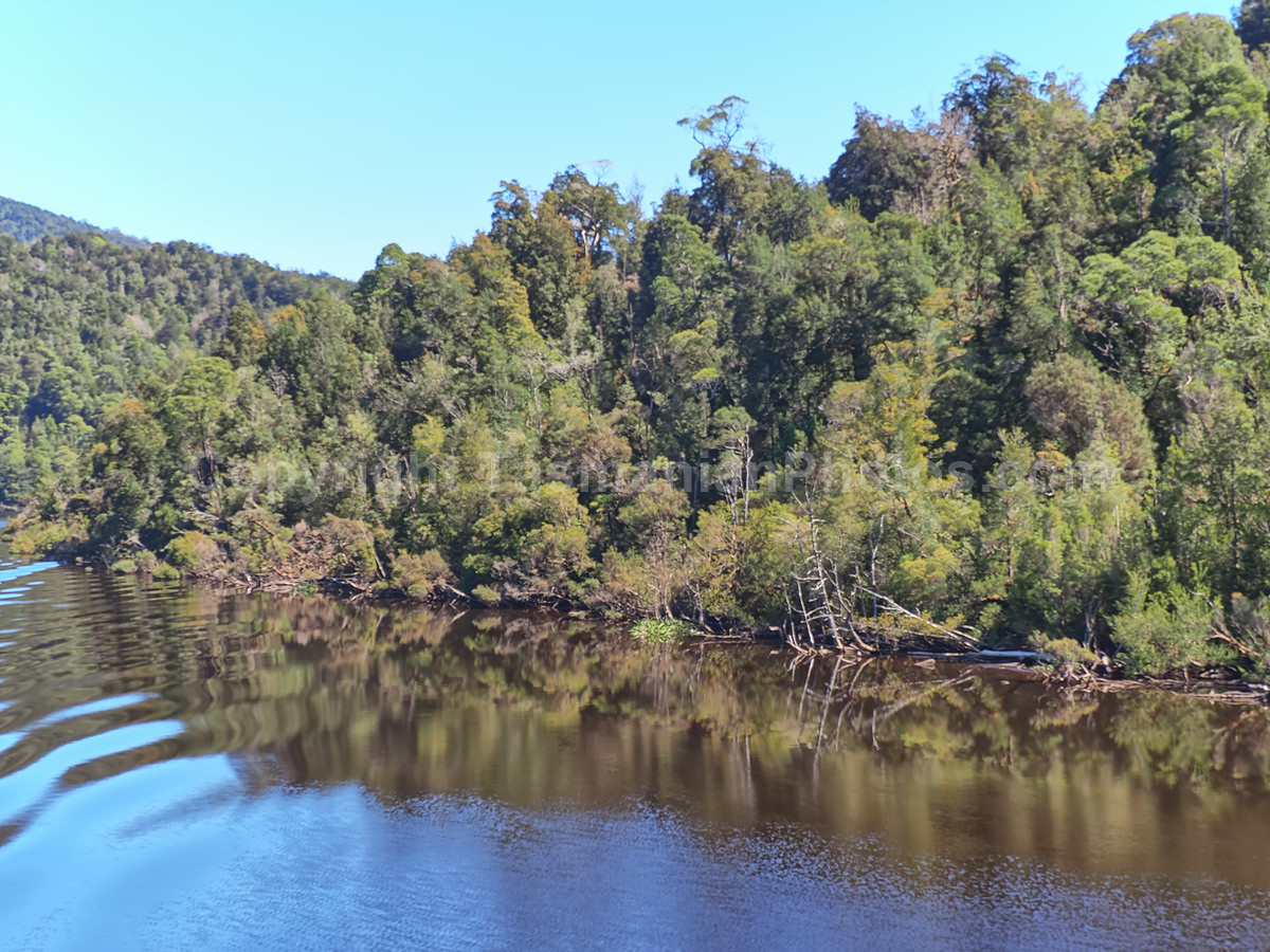 Gordon River and Maquarie Harbour.  Strahan. West Coast Tasmania. (martin chambers: tasmanianphotos.com) (07/10/20) : Gordon-River-Tasmania_20201007-214325