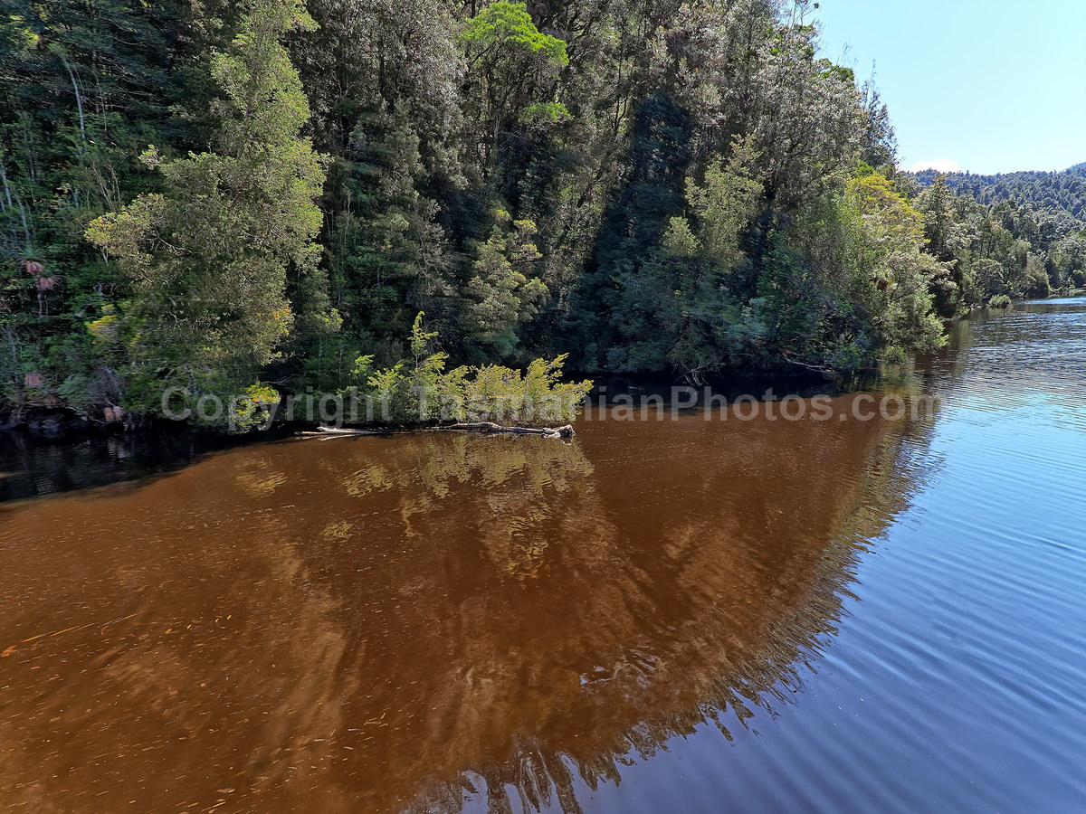 Gordon River. Strahan. West Coast Tasmania. (martin chambers: tasmanianphotos.com) (07/10/20) : Gordon-River-Tasmania_20201007-214412