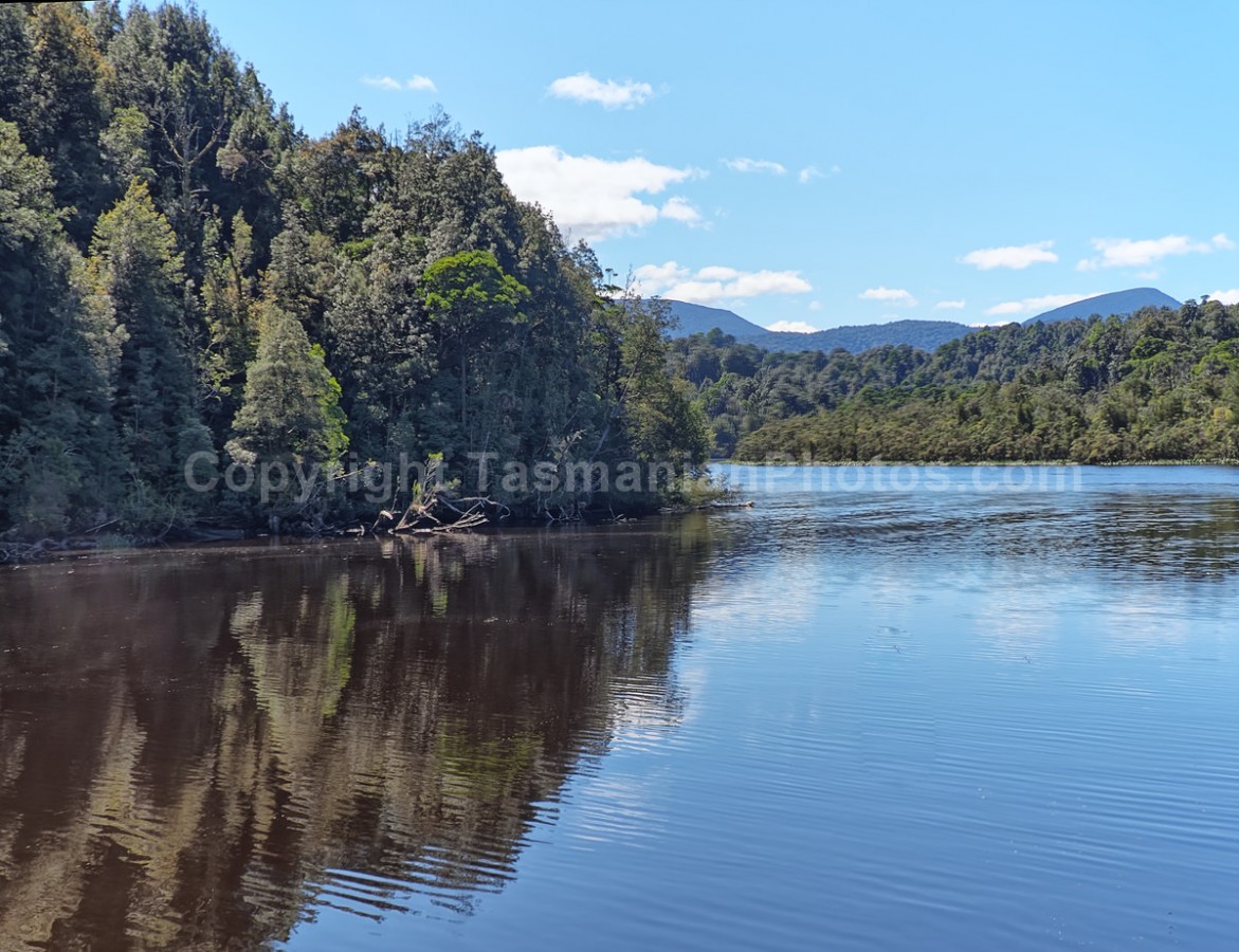 Gordon River. Strahan. West Coast Tasmania. (martin chambers: tasmanianphotos.com) (07/10/20) : Gordon-River-Tasmania_20201007-214419