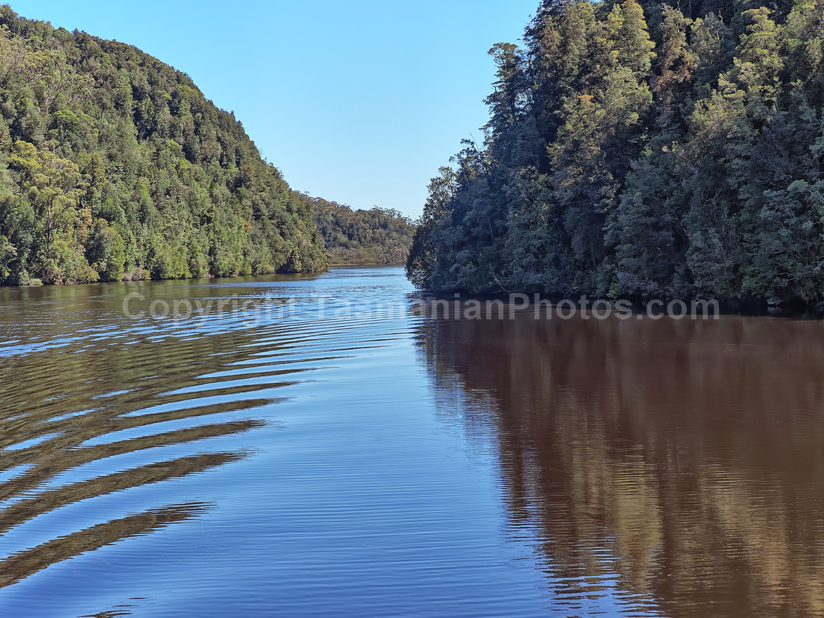 Gordon River. Strahan. West Coast Tasmania. (martin chambers: tasmanianphotos.com) (07/10/20) : Gordon-River-Tasmania_20201007-214426