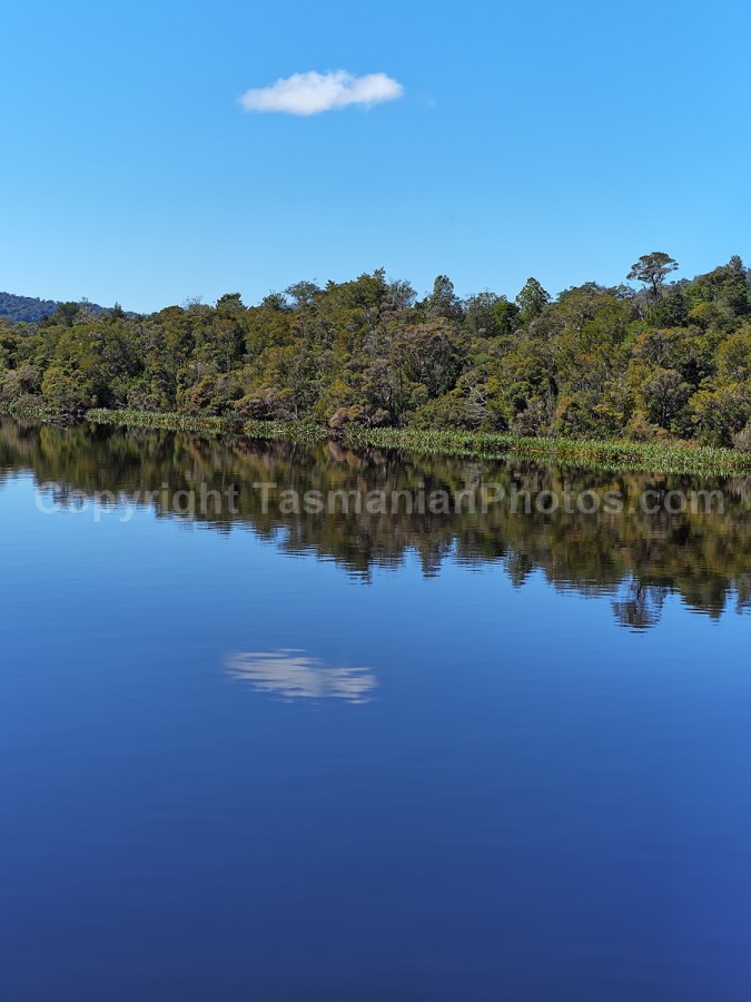 Gordon River and Macquarie Harbour. Strahan. West Coast Tasmania. (martin chambers: tasmanianphotos.com) (07/10/20) : Gordon-River-Tasmania_20201007-214450