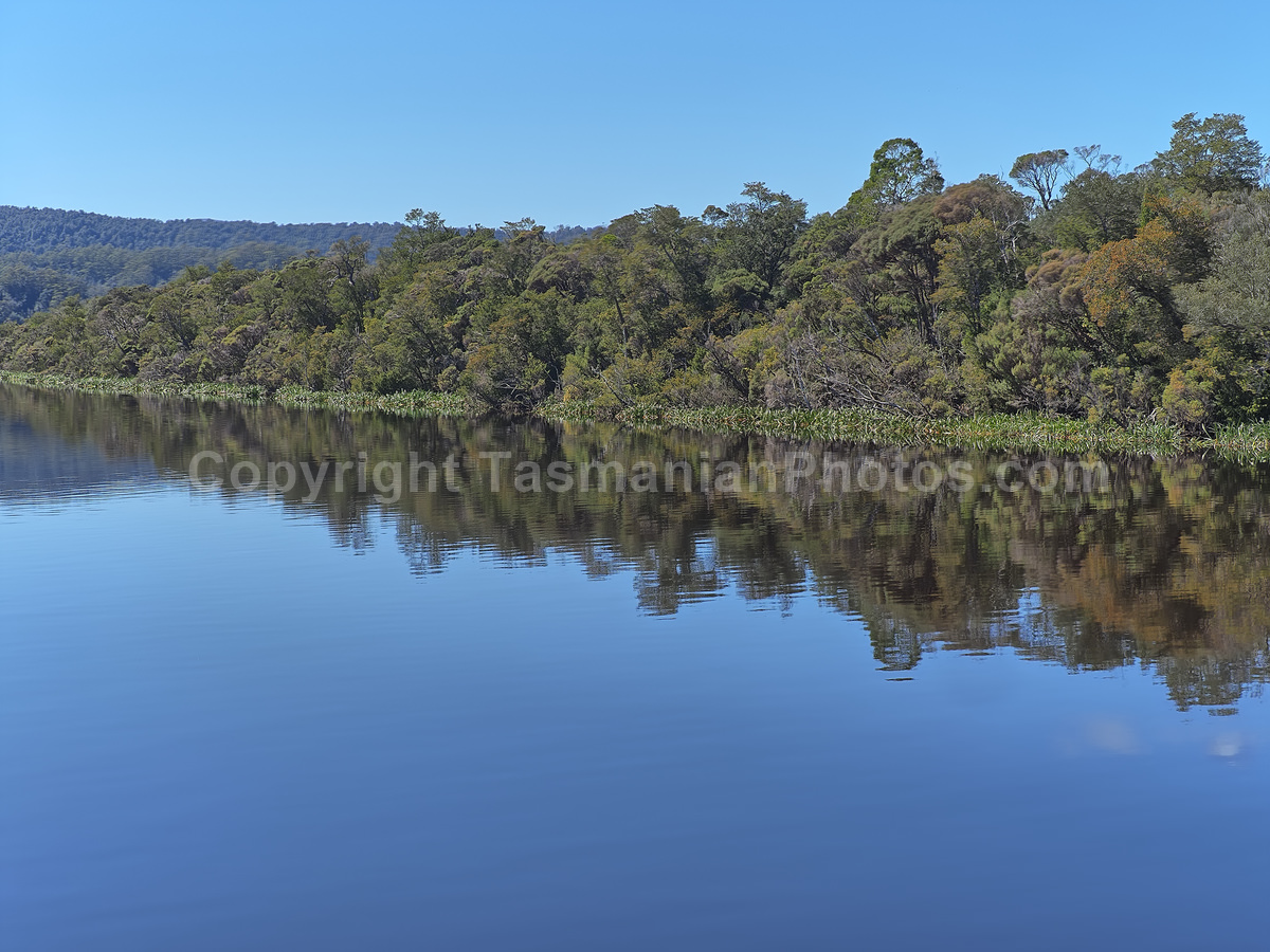 Gordon River and Macquarie Harbour. Strahan. West Coast Tasmania. (martin chambers: tasmanianphotos.com) (07/10/20) : Gordon-River-Tasmania_20201007-214514