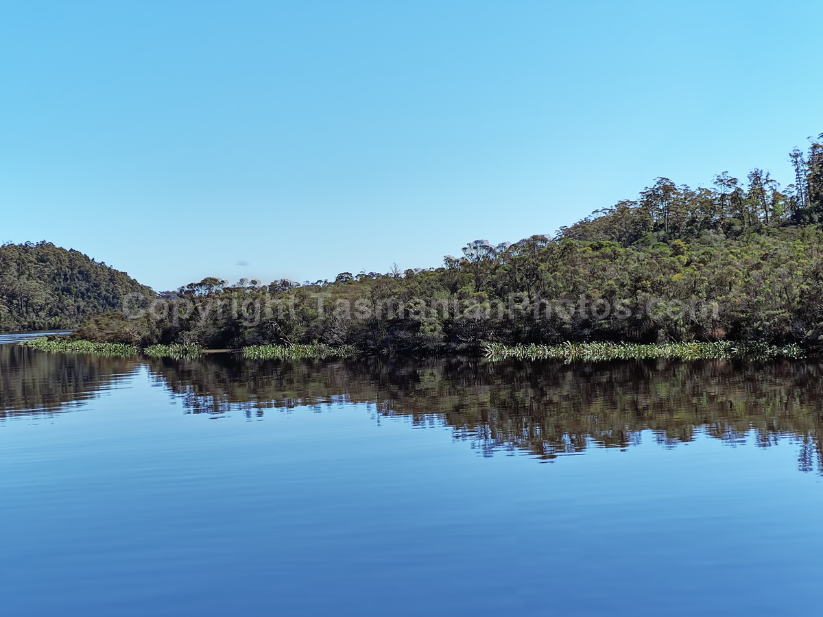 Gordon River and Macquarie Harbour. Strahan. West Coast Tasmania. (martin chambers: tasmanianphotos.com) (07/10/20) : Gordon-River-Tasmania_20201007-214622