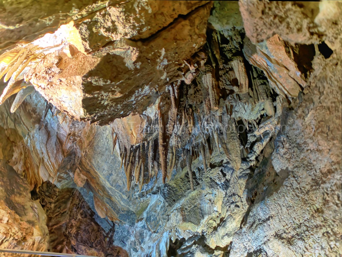 Gunns Plains Caves, Gunns Plains in the North West Coast Region, Tasmania. (martin chambers: tasmanianphotos.com) (06/10/22) : Gunns-Plains-Caves-Tasmania_20221006-140124