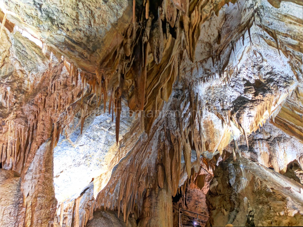 Gunns Plains Caves, Gunns Plains in the North West Coast Region, Tasmania. (martin chambers: tasmanianphotos.com) (06/10/22) : Gunns-Plains-Caves-Tasmania_20221006-140500