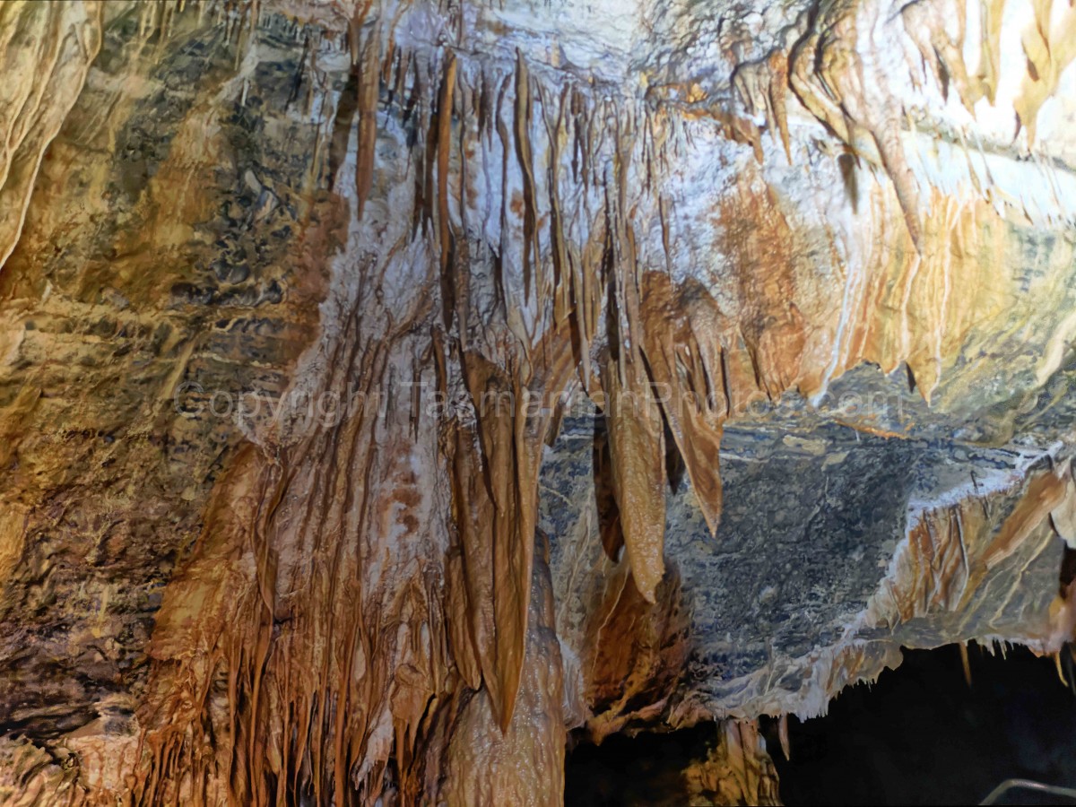 Gunns Plains Caves, Gunns Plains in the North West Coast Region, Tasmania. (martin chambers: tasmanianphotos.com) (06/10/22) : Gunns-Plains-Caves-Tasmania_20221006-141246
