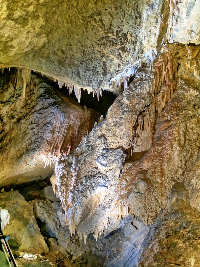 Gunns Plains Caves, Gunns Plains in the North West Coast Region, Tasmania. (martin chambers: tasmanianphotos.com) (06/10/22) : Gunns-Plains-Caves-Tasmania_20221006-141758