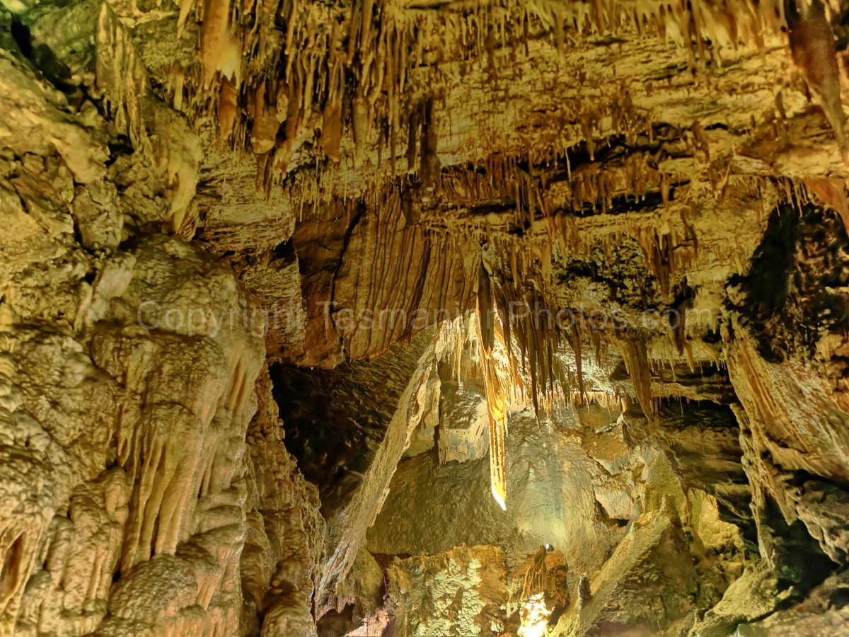 Gunns Plains Caves, Gunns Plains in the North West Coast Region, Tasmania. (martin chambers: tasmanianphotos.com) (06/10/22) : Gunns-Plains-Caves-Tasmania_20221006-142020
