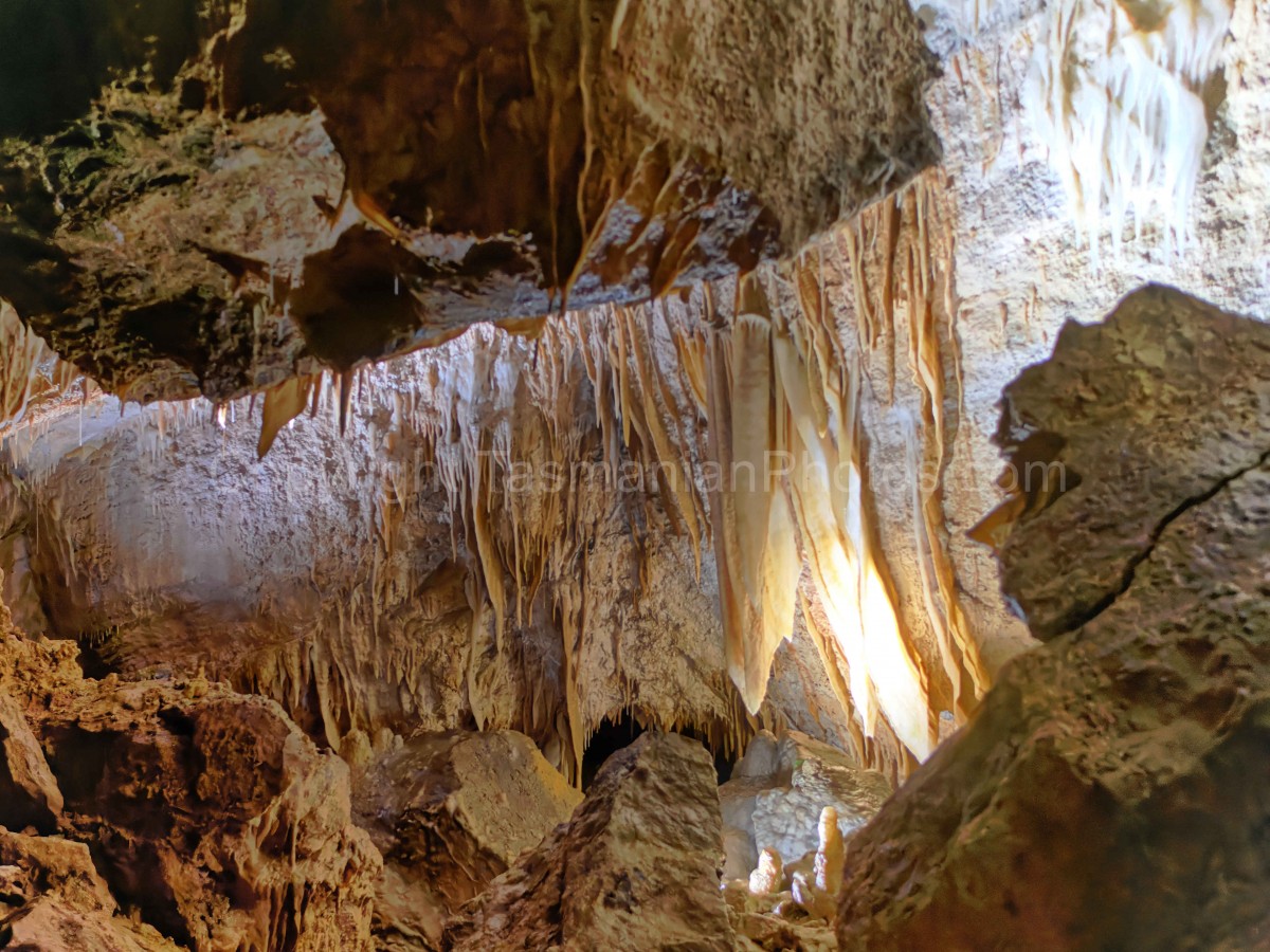 Gunns Plains Caves, Gunns Plains in the North West Coast Region, Tasmania. (martin chambers: tasmanianphotos.com) (06/10/22) : Gunns-Plains-Caves-Tasmania_20221006-142410