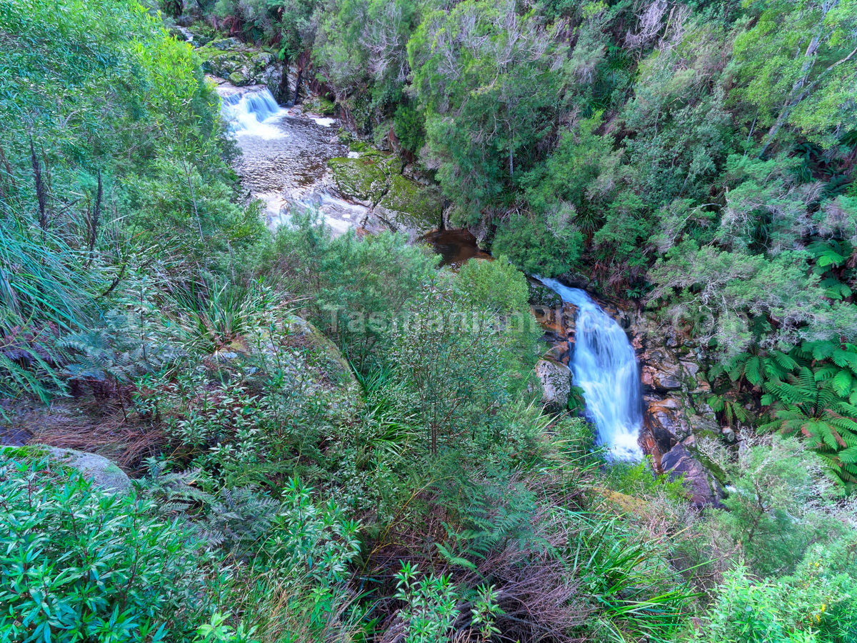 Halls Falls near Pyengana. Tasmania.

 (martin chambers: tasmanianphotos.com) (13/07/21) : Halls-Falls-Tasmania_20210713-150014