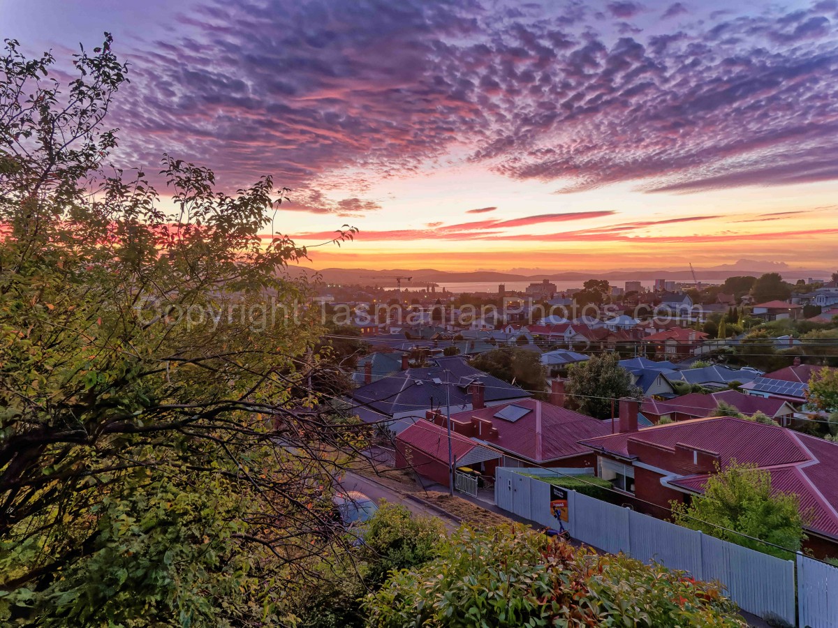 Sunrise over Hobart City from West Hobart, Tasmania.  (04/03/22) : Hobart-City-West-Hobart-Tasmania_20220304-053545
