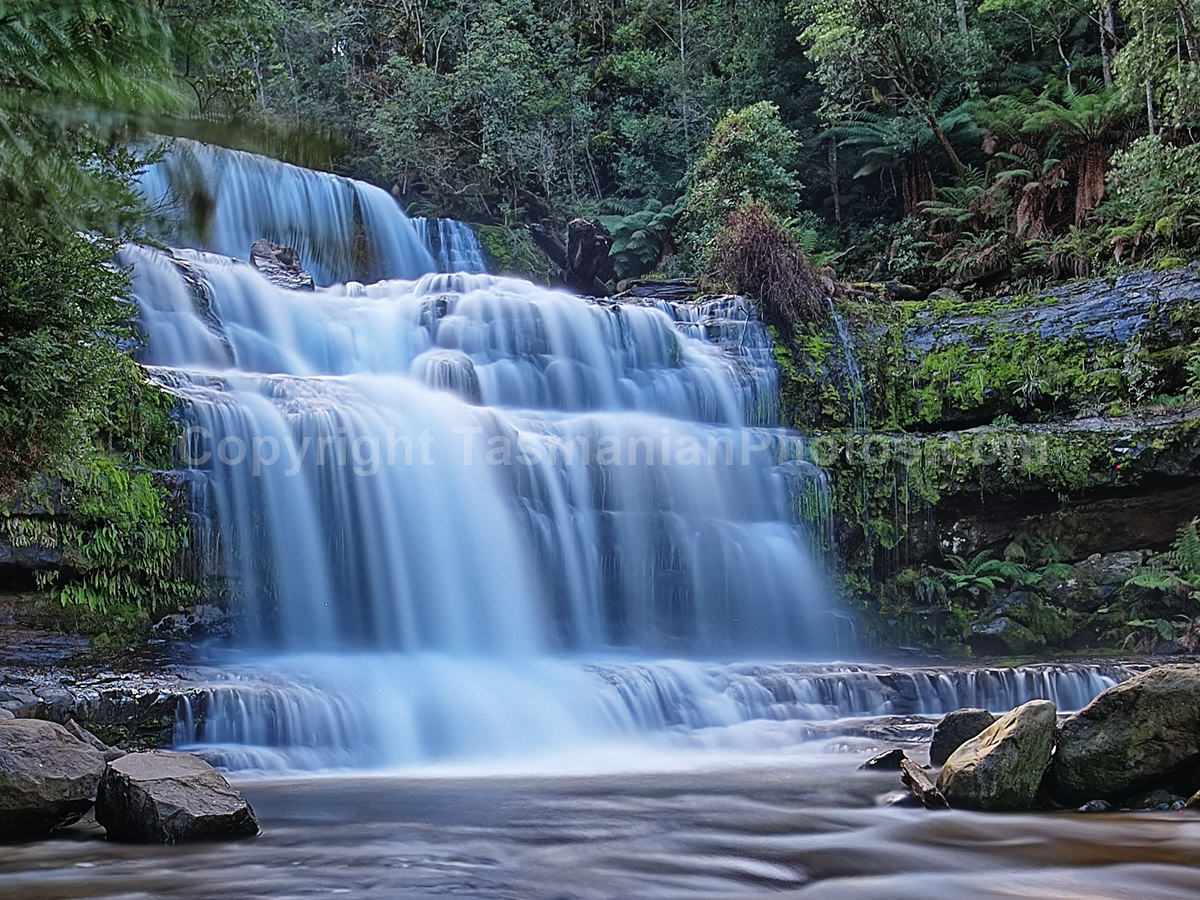 Liffey Falls in the Meander Valley,Tasmania. (martin chambers: tasmanianphotos.com) (02/10/20) : Liffey-Falls-Tasmania_20201002-085831