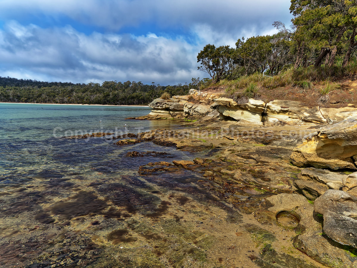 Lime Bay Nature Reserve on the Tasman Peninsula.  (martin chambers: tasmanianphotos.com) (03/10/21) : Lime-Bay-Tasmania_20211003-200718