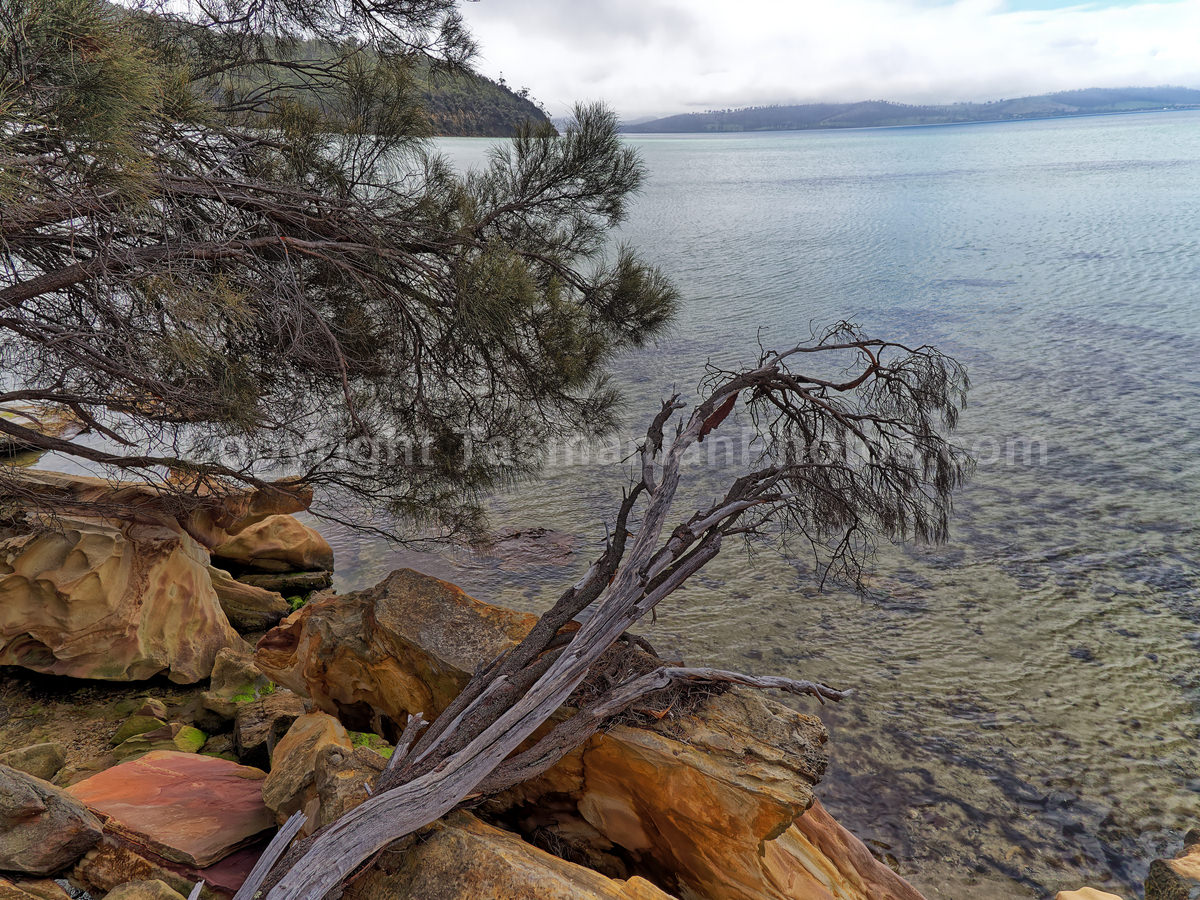 Lime Bay Nature Reserve on the Tasman Peninsula.  (martin chambers: tasmanianphotos.com) (03/10/21) : Lime-Bay-Tasmania_20211003-200735